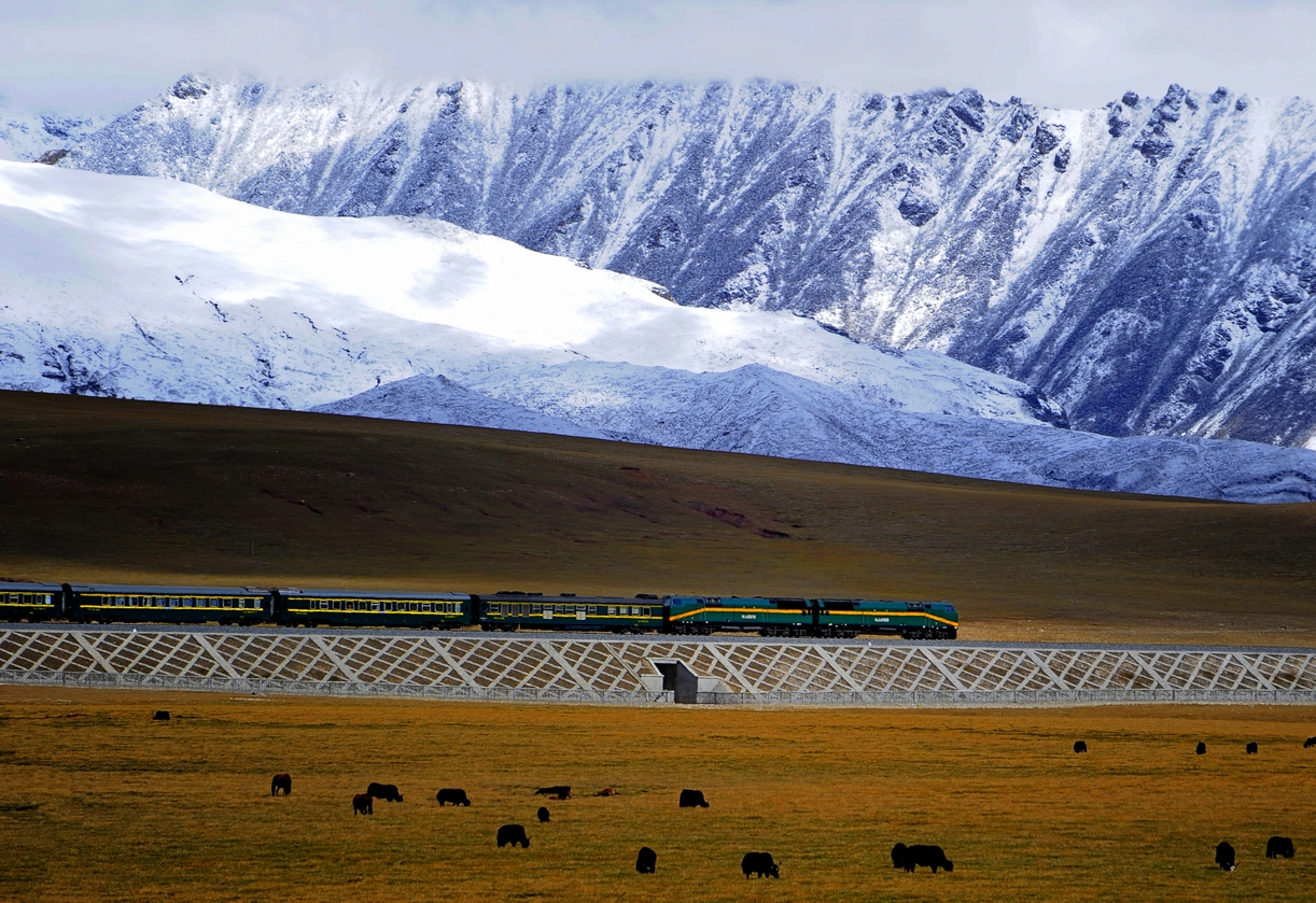 Qingzang_railway_Train